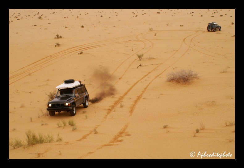 071 Apres avoir devale la dune on la gravit a nouveau pour le plaisir
